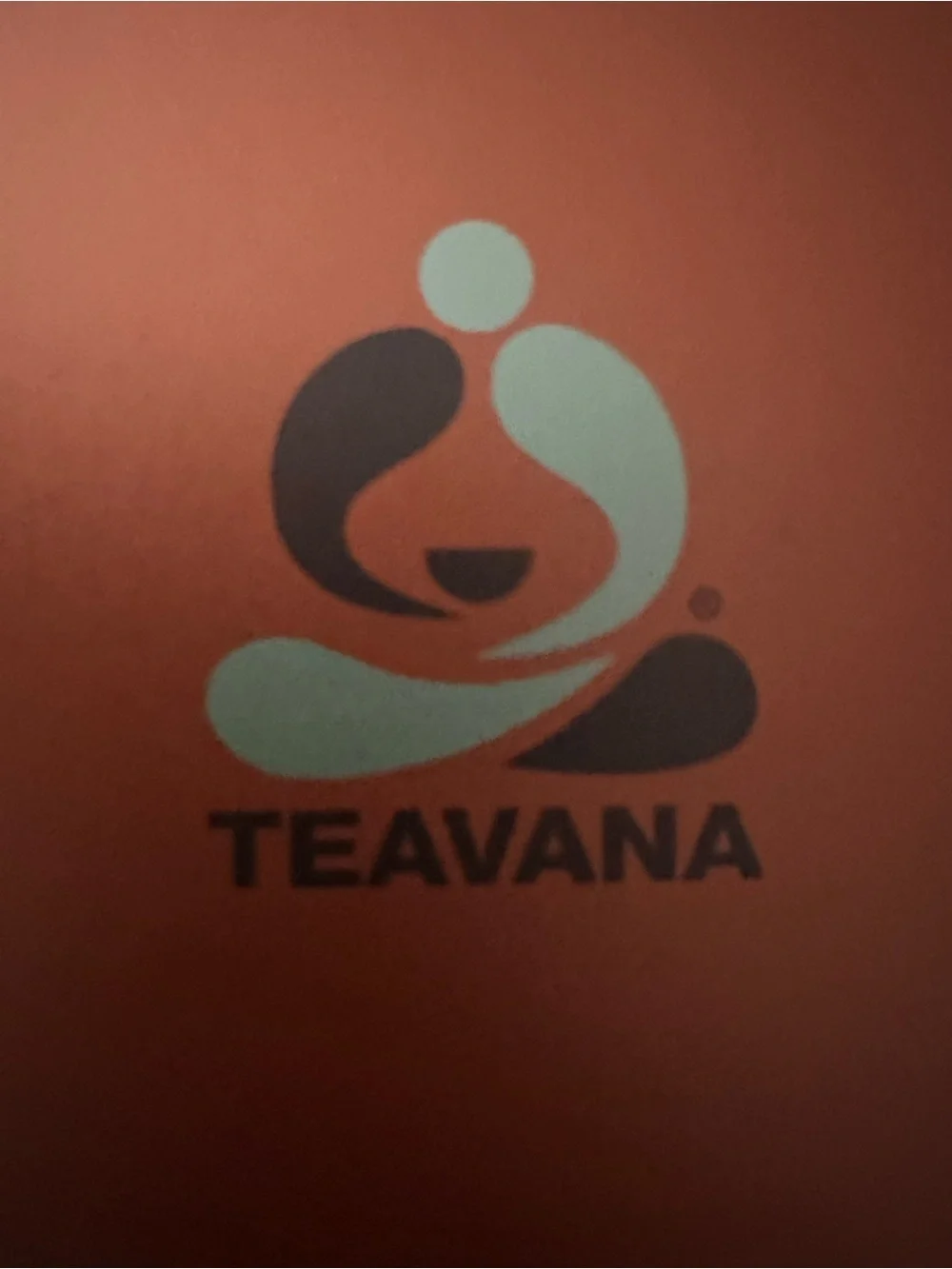 Teavana Logo Graphic in Mint and Dark Brown on Coral